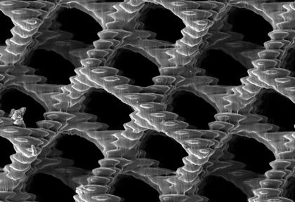  3Dプリンターで微細な格子状の構造をもつ負極材料を開発した　出展：東北大学